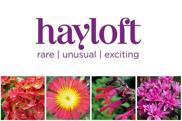 hayloft plants company logo